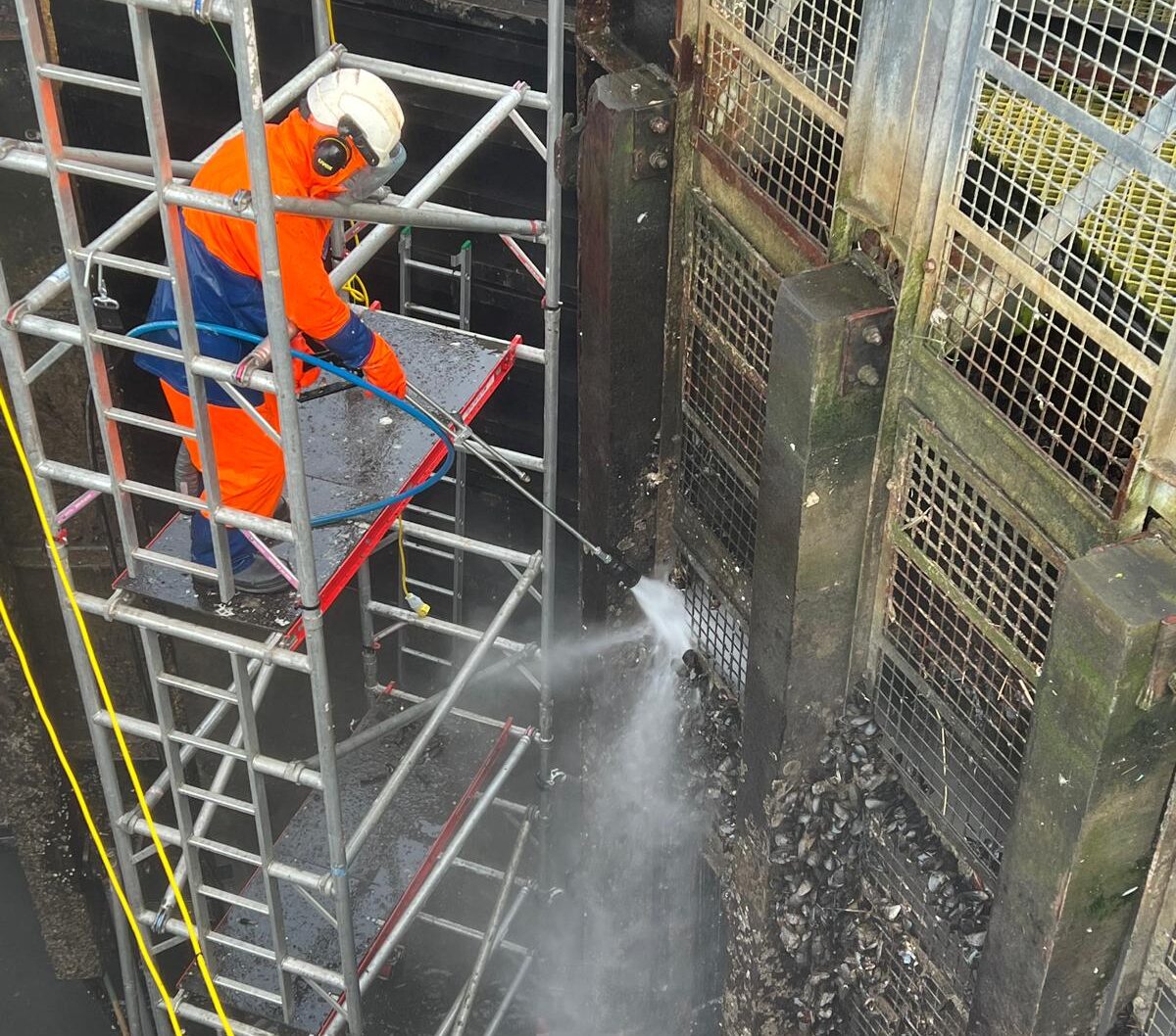 963c6196-55b5-416d-b0f0-de7f9ca1e659-e1746102937512